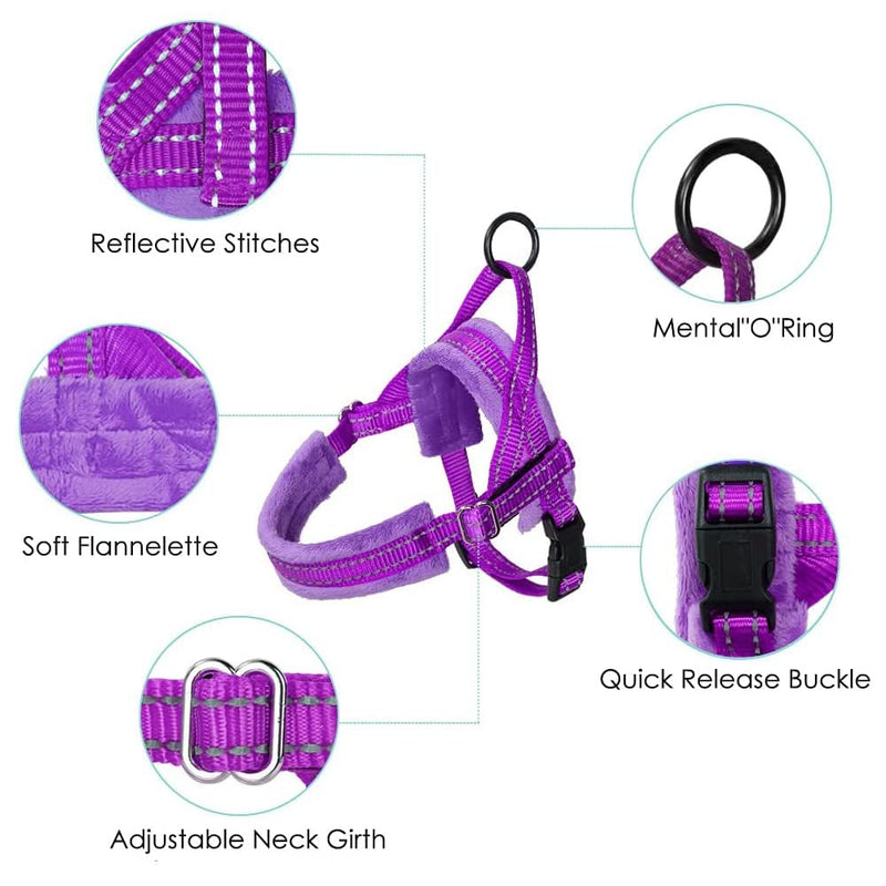Lukovee Walking Dog Harness and Leash, Heavy Duty Adjustable Puppy Harness Soft Padded Reflective Vest Harness Anti-Twist 4FT Lead Quick Fit Lightweight for Small Dog Cat XXS ( Chest 11.5'' ~ 15'') A-Purple - BeesActive Australia