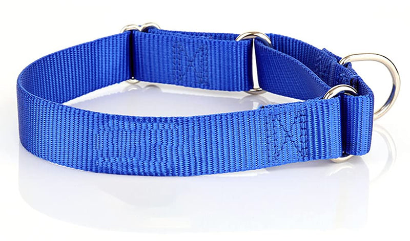 Alainzeo Martingale Dog Collar, Heavyduty Nylon Dog Collar Large Blue - BeesActive Australia