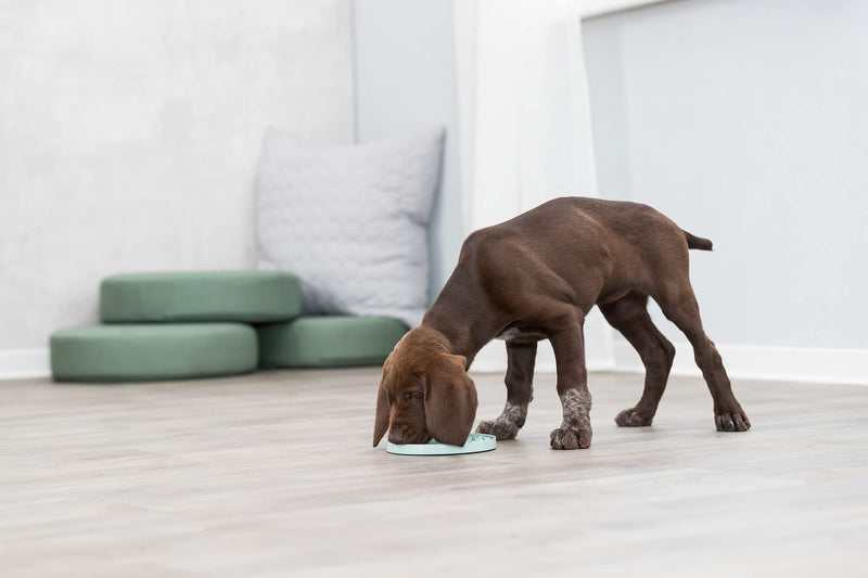 TRIXIE Junior Licking Mat, Pet Slow Feeder, for Dogs and Cats, Mint - BeesActive Australia