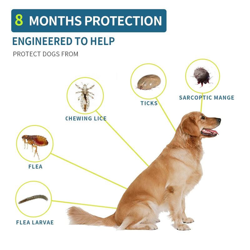 Advanllent Flea Collar for Dogs, 8 Month Flea and Tick Prevention for Dogs, 27 Inch Adjustable - BeesActive Australia