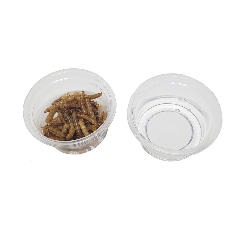 MRTIOO Enhanced Crested Gecko Feeding Ledge , Reptile Food Bowls and Water Dish for Lizard Or Other Small Pet Amphibian Ledge Accessories Supplies, with 1oz Plastic Feeding Cups 1oz 100 cups - BeesActive Australia