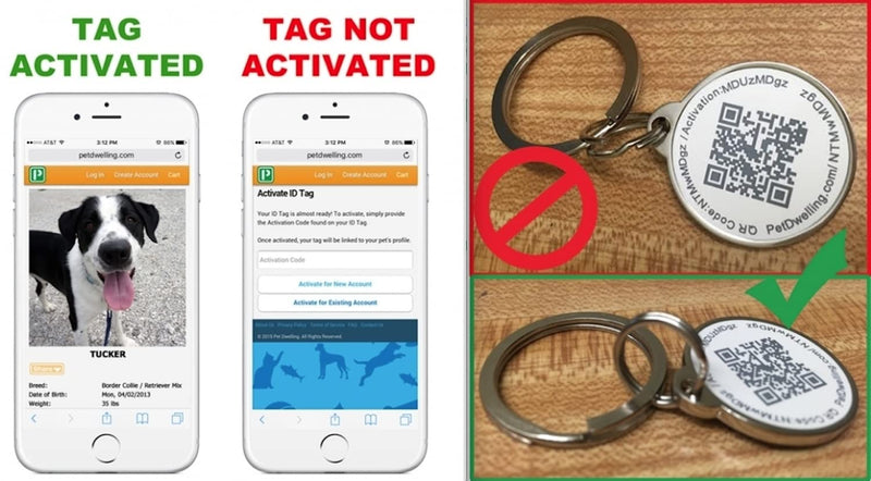 Pet Dwelling 2D QR Code Pet ID Tag - Dog Tags - Cat Tags - Online Pet Profile - Instant Email Alert - Scanned QR Tag GPS Location Pink Paw 2d - BeesActive Australia