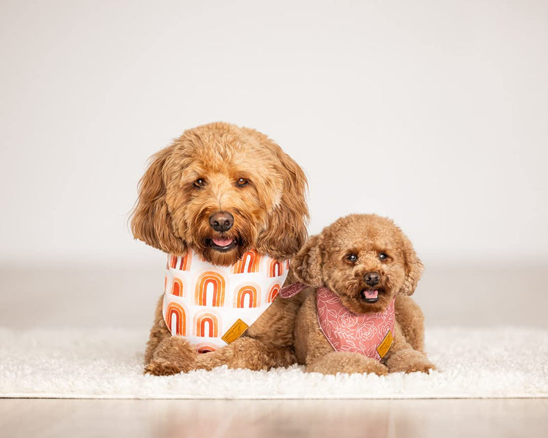 Remy+Roo Dog Bandanas - 4 Pack | Rubi Set | Premium Durable Fabric | Unique Shape | Adjustable Fit | Multiple Sizes Offered Large - BeesActive Australia