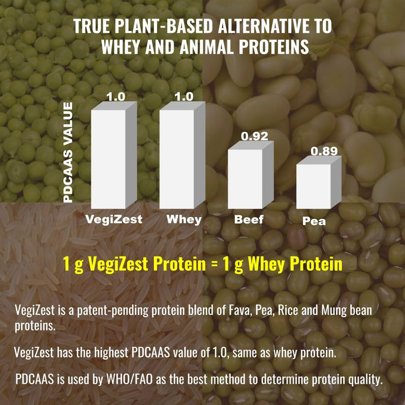 UpNourish Plant-Based Protein Meal Replacement Shake! Keto, Vegan-Friendly Lifestyles. Gluten & Dairy-Free Smoothie with Essential Vitamins, Minerals, and Low Carbs - Chocolate, 15 Servings Creamy Chocolate - BeesActive Australia