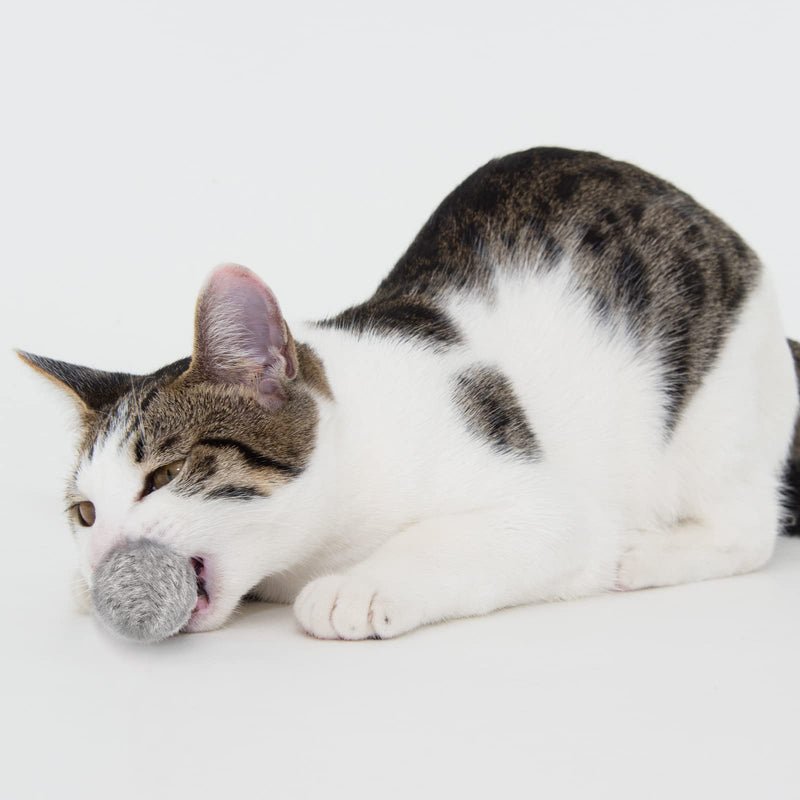 12 Pieces Real Rabbit Fur Pom Pom Cat Toy Fluffy Cat Pom Pom Balls Soft Fuzzy Cat Rattle Balls for Kitty Pets Kitten Chase Quiet Play, 3 Inches in Diameter Gray, Coffee, White - BeesActive Australia