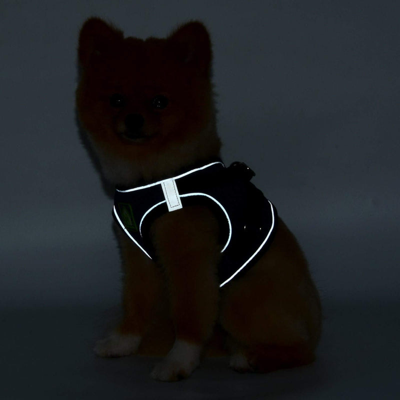 SMALLLEE_LUCKY_STORE Soft Mesh Puppy Harness Vest,Step-in Small Dog/Cat Harness and Leash Set for Walking Outdoor XS(chest 10.0",for 1-3 lbs) pink - BeesActive Australia