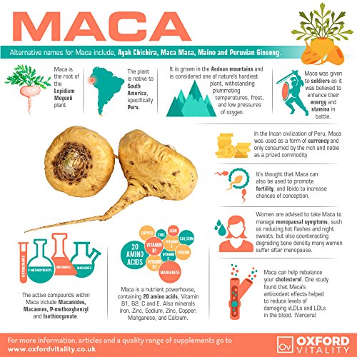 Maca Tablets | Extra Strength 2500mg Supplements Pills for General Energy & Vitality | Oxford Vitality 120 Count (Pack of 1) - BeesActive Australia
