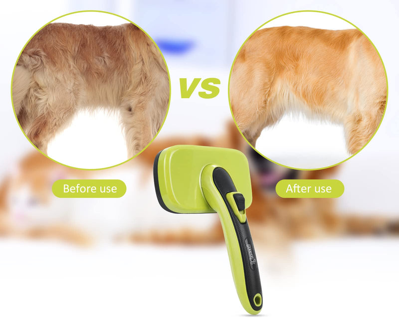 Pecute Dog Brush Cat Brush - Self Cleaning Slicker Brush, Effectively Reduces Shedding by Up to 95% - Professional Pet Grooming Brush Shedding Grooming Tools for Dogs and Cats with Middle to Long Hair Size M-Green with Massage Particles - BeesActive Australia