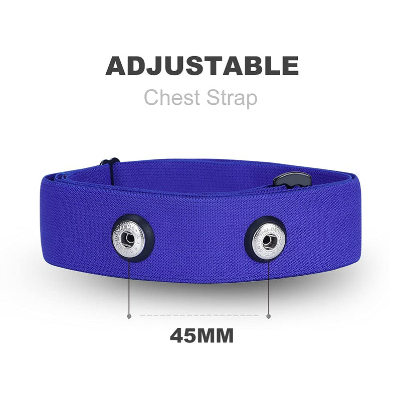 Heart Rate Monitor Replacement Chest Strap Navy Large - BeesActive Australia