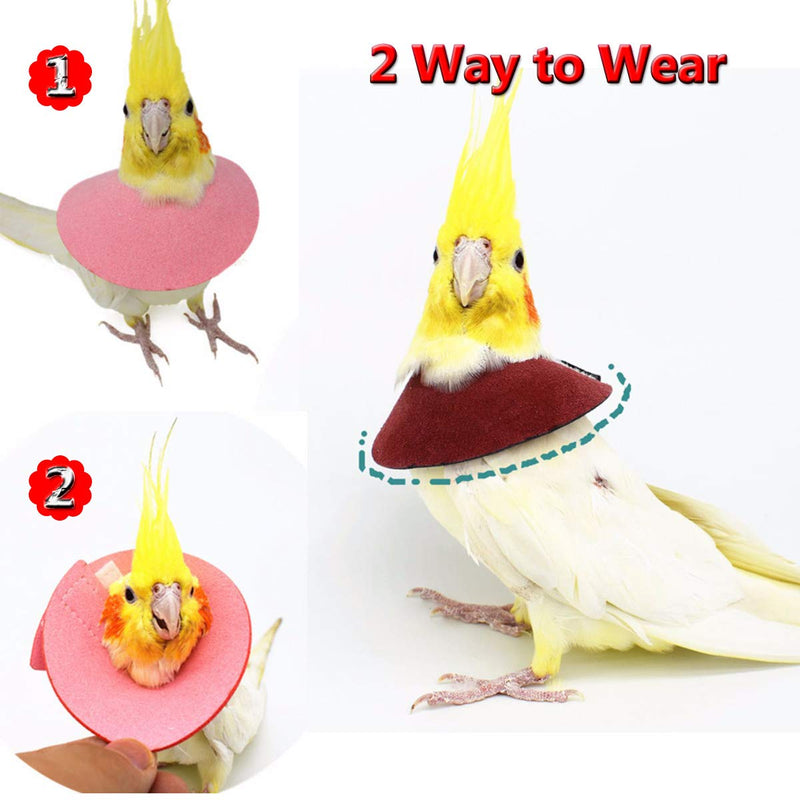4Pack Pet Parrot Anti-bite Elizabethan Collars, Anti-Grab Feather Plucking Wound Healing Safety Collar, Protective Recovery Cones for Budgerigar Lovebird Agapornis Fischer Cockatiel Cockatoo M - Suitable for Lovebird - BeesActive Australia