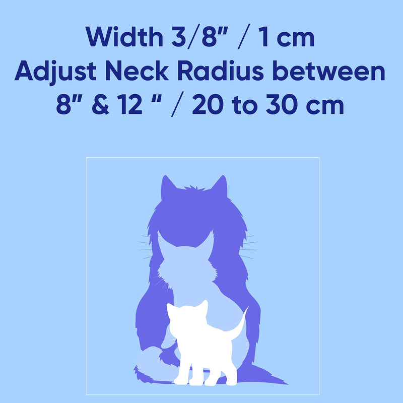 Pawtitas Glow in The Dark Cat Collar with Safety Buckle and Removable Bell Cat Collar Kitten Collar Cat Collar Purple - BeesActive Australia