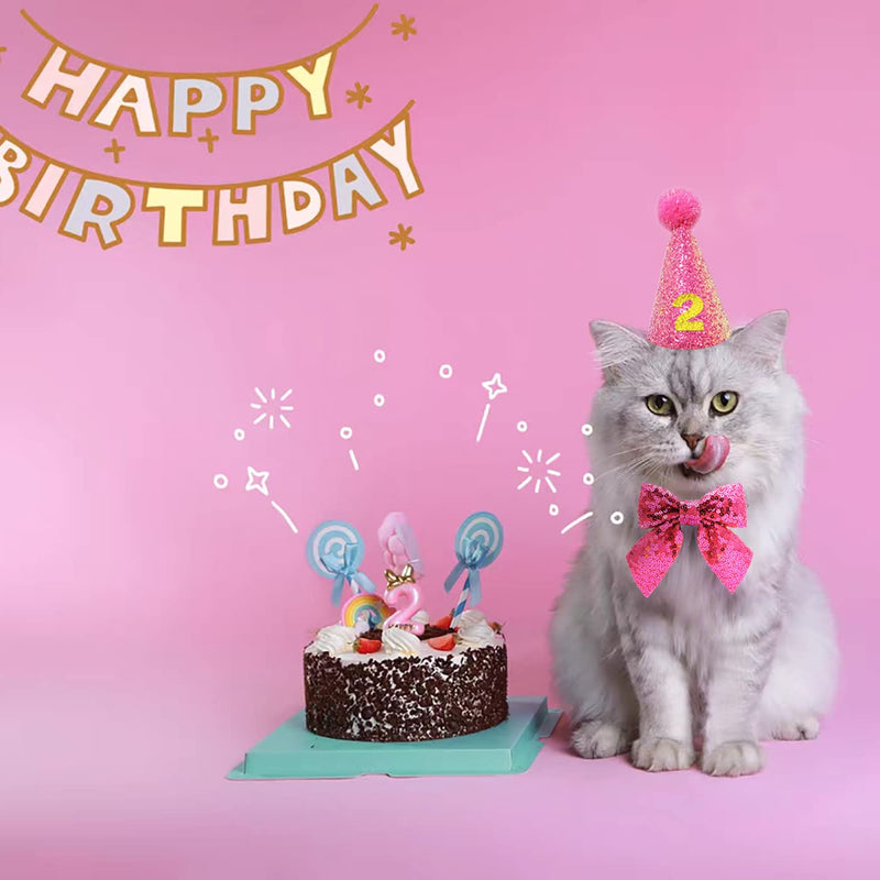 IDOLPET Cat Birthday Hat and Bowtie Dog Birthday Hat Reusable Cute Cone Hat with 0-9 Figure Doggy Bow Tie for Dog Adult Cat Birthday Party Supplies Costume Grooming Headwear Hair Accessories Pink - BeesActive Australia