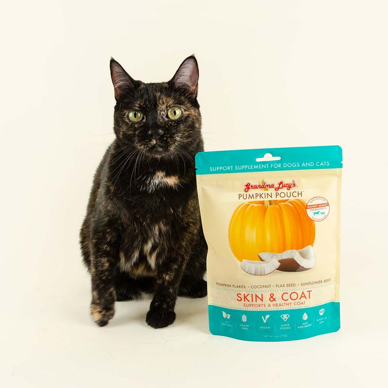 Grandma Lucy's Pumpkin Pouch Skin and Coat 6oz - BeesActive Australia