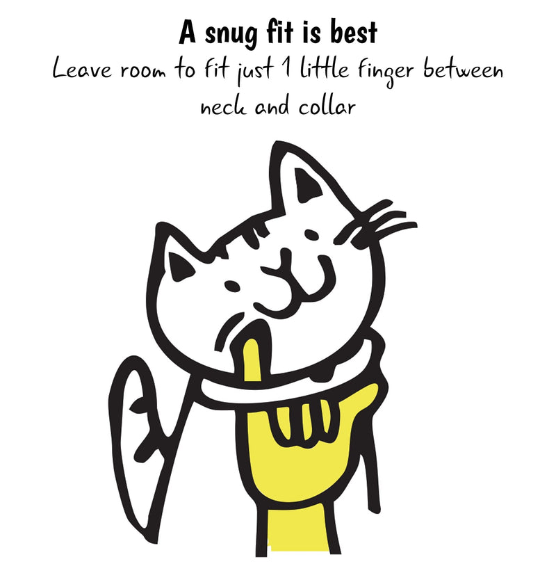 Kittyrama Cat Collar. Award Winning. Breakaway. Vet Approved. As Seen in Vogue. Other Styles Available Kitten KITTEN Aqua - BeesActive Australia