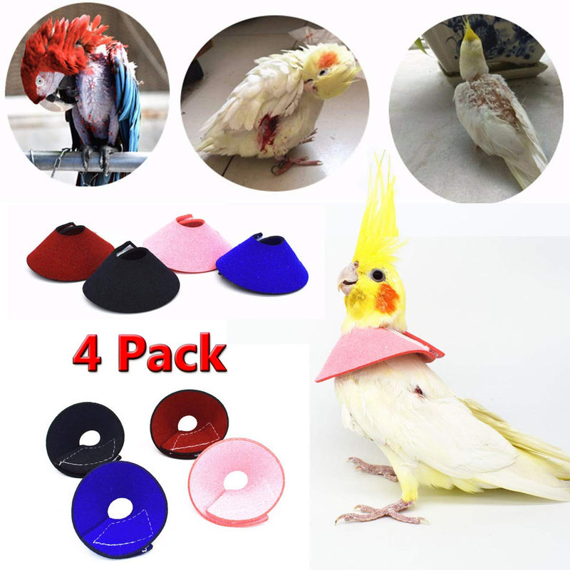 4Pack Pet Parrot Anti-bite Elizabethan Collars, Anti-Grab Feather Plucking Wound Healing Safety Collar, Protective Recovery Cones for Budgerigar Lovebird Agapornis Fischer Cockatiel Cockatoo M - Suitable for Lovebird - BeesActive Australia