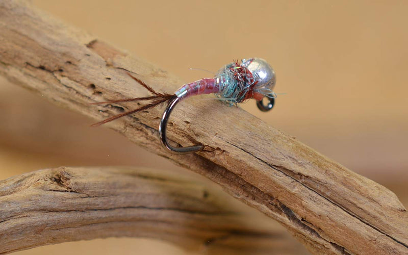 Region Fishing Tungsten Bead Rainbow Warrior Jig Fly - Euro Nymph - Hanak Hooks - 6ct Pack Hook #16 - BeesActive Australia