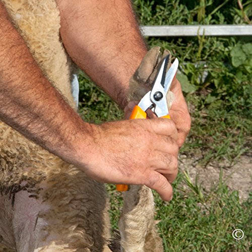 [AUSTRALIA] - Premier ExoTrim Serrated Hoof Trimmer 