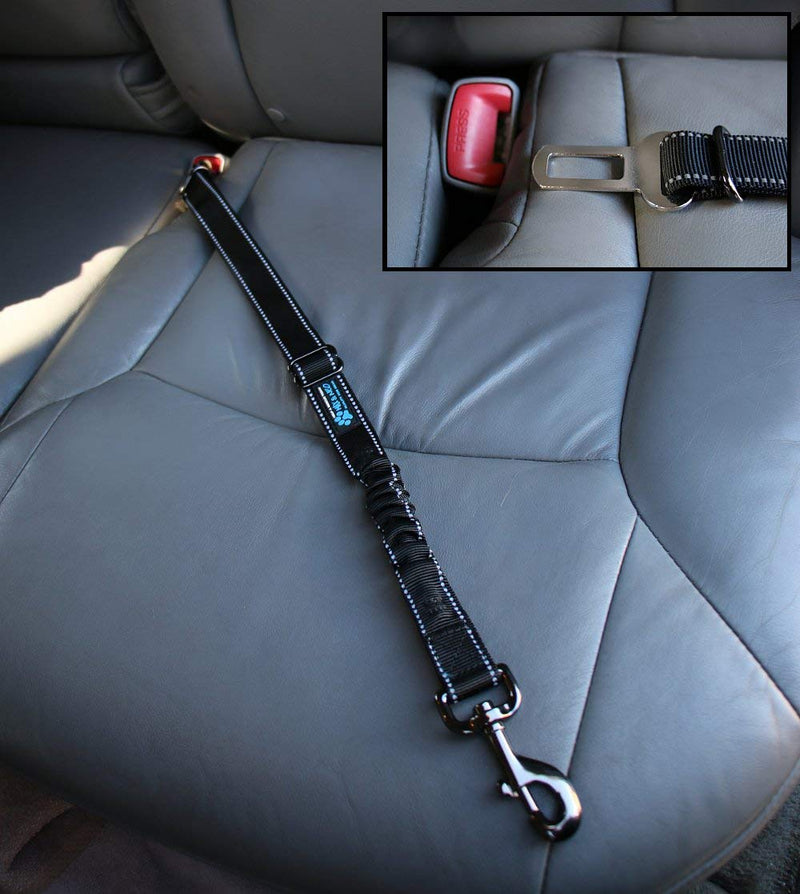 Max and Neo Dog Vehicle Seat Belt Bungee Harness Car Leash - We Donate a Leash to a Dog Rescue for Every Leash Sold BLACK - BeesActive Australia