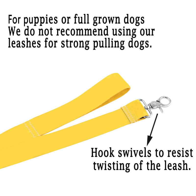 PWHAOO Dot Not Pet/Do Not Touch Me/Ask to Pet Nervous Dog Lead Shy Rescue Dog Gift Nervous Shy Dog Gift Ask To Pet Leash - BeesActive Australia