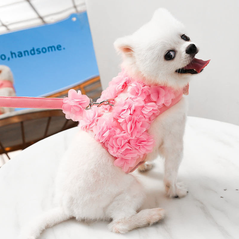 TENGZHI Small Puppy Dog Harness and Leash Set Lace Floral Soft Mesh Escape Proof Pet Vest Harness Cute Pink Puppy Cat Vest Clothes for Small Dogs Girl M (Fit 3-8 lbs; Chest 11.8-13.8") - BeesActive Australia