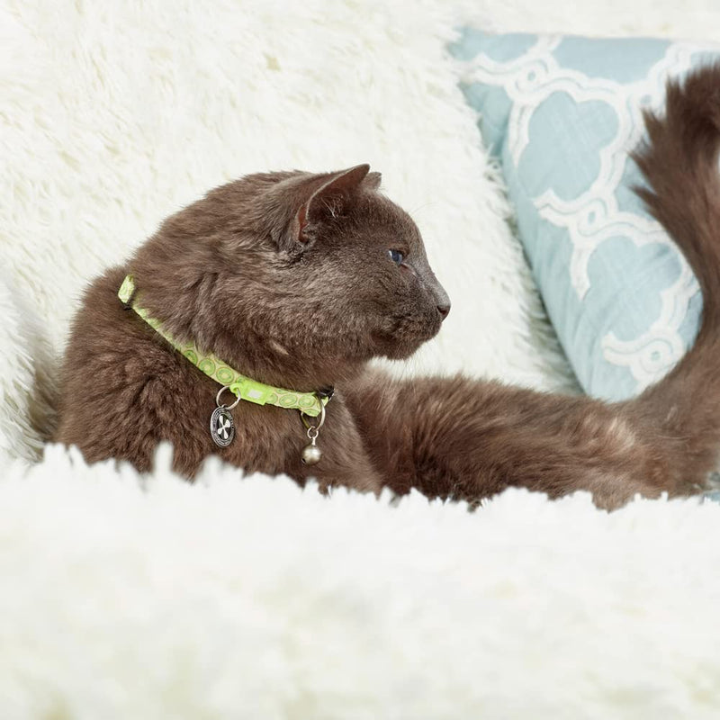 Max & Molly Classic Adjustable Smart ID Fashion Cat Collar with Safety Bell and Breakaway Buckle Kiwis - BeesActive Australia