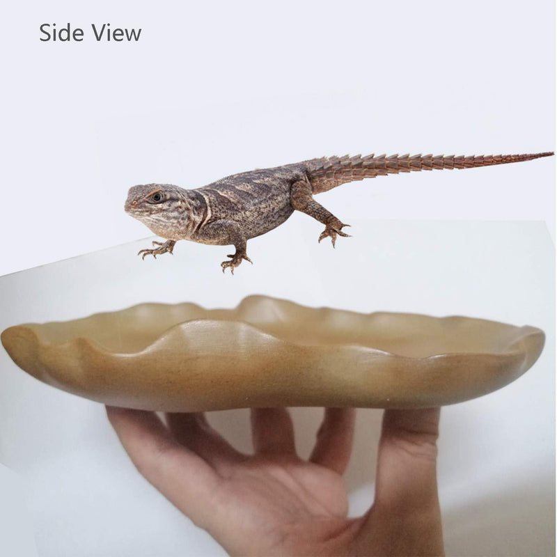 Fuongee Reptile Feeding Dish Bowl Food and Water Bowl Tortoise Dish Reptile Tank Decor, Heavy Duty Ceramic Feeding Dish, Leaf Shaped - BeesActive Australia
