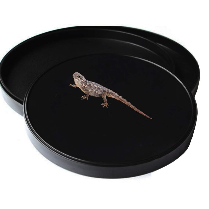 Fuongee Reptile Water Food Dish Bowl Turtle Feeder Tortoise Feeding Dish Container Medium Black - BeesActive Australia