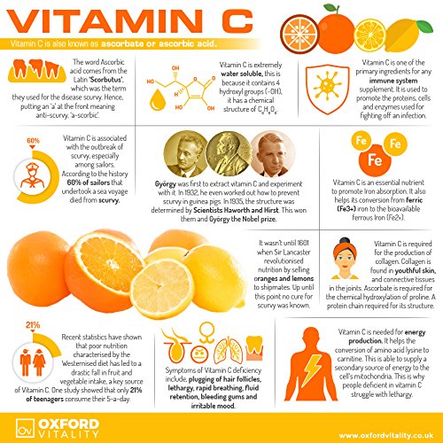 Zinc, Copper & Vitamin C Tablets | General Health & Hair, Skin and Nails | Oxford Vitality 120 Count (Pack of 1) - BeesActive Australia