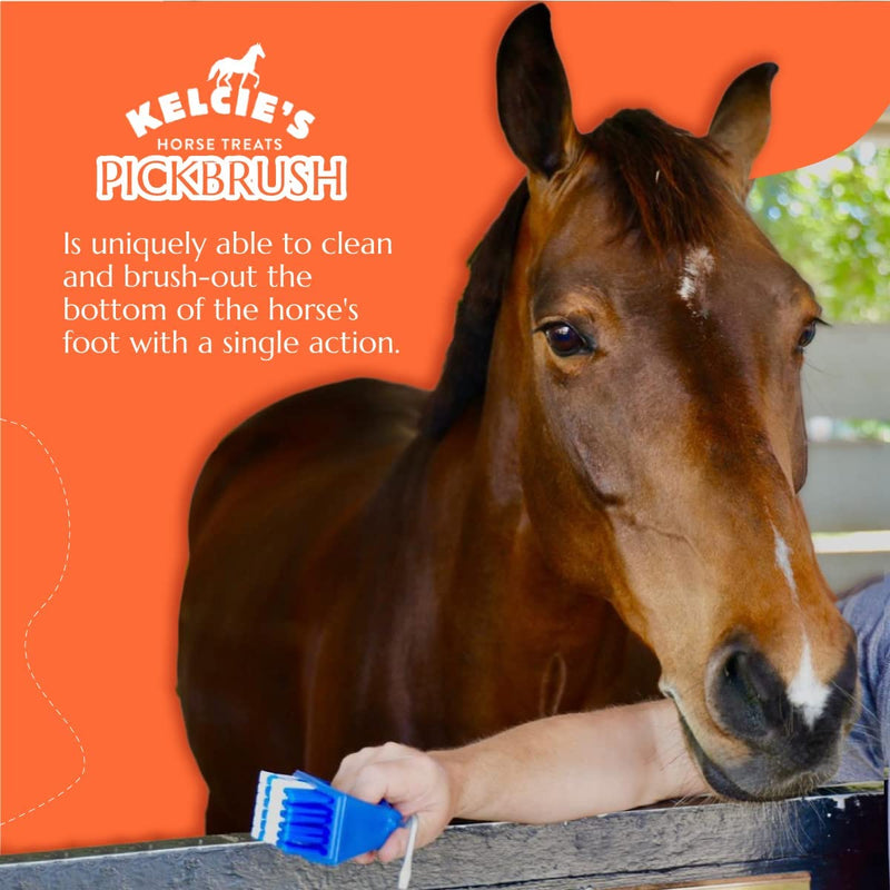 Kelcie's Pickbrush Cleaning Tool for Horses - Clean Hoofs - BeesActive Australia