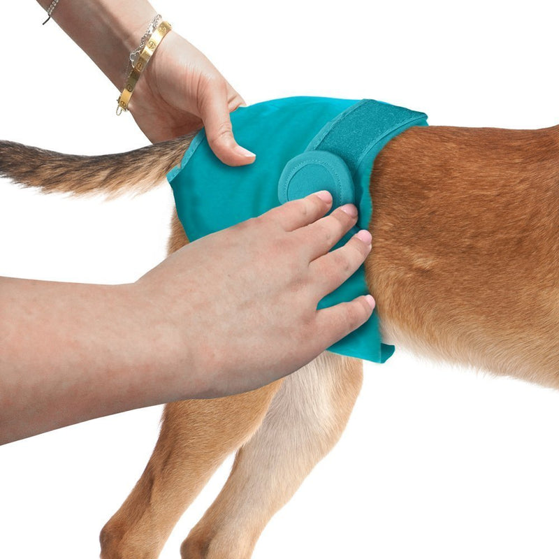 Simple Solution Washable Reusable Female Dog Diapers X-Large - BeesActive Australia