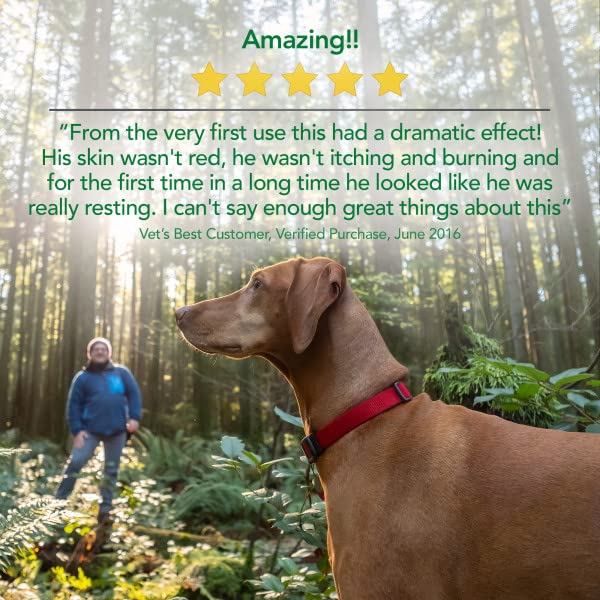 Vet's Best Hypo-Allergenic Shampoo for Dogs | Dog Shampoo for Sensitive Skin | Relieves Discomfort from Dry, Itchy Skin | Cleans, Moisturizes, and Conditions Skin and Coat - BeesActive Australia