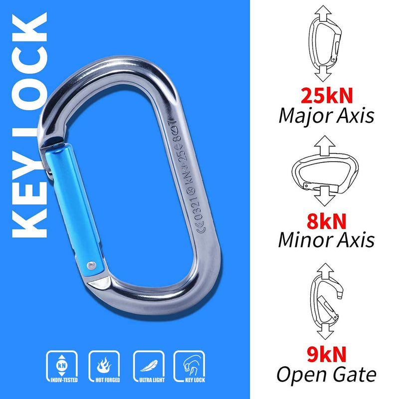 KAILAS Oval Climbing Carabiner Straight Gate CE Certified 25kN O Shaped Non-Locking Clip for Rock Climbing Mountaineering Ziplining Rappelling Rescue Keychain Dog Leash Iron Gray/Sky Blue Dimensions:110X61.2mm - BeesActive Australia