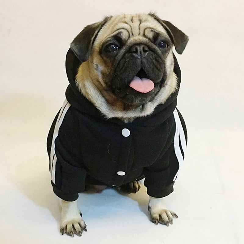 Pet Cat Dog Cute Outfit Clothes Hoodie Jumpsuit Tracksuit Jacket Winter Sweater 4-Legs Style Black for Puppy Small to Medium Dogs Boy and Girl - BeesActive Australia