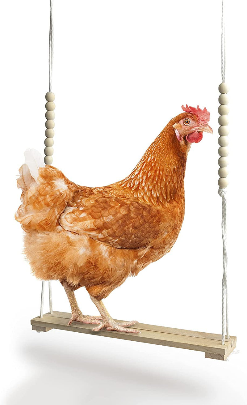 CW&WC Chicken Swing Toys for Chickens Coop with Adjustable Roost - Large Ladder Bar Accessories and Gifts Owners – Includes Ropes & Metal Hook (15.5In x 2.75In), A212 - BeesActive Australia