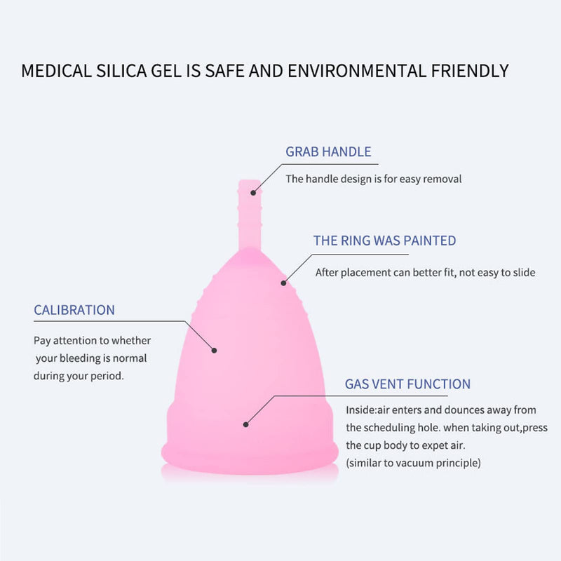 PATILWON Menstrual Cups 2 Pack Period Cup, with Micro-Wave Oven Box Holder Purple&pink Large - BeesActive Australia