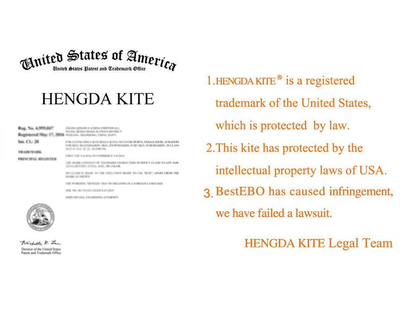 [AUSTRALIA] - Hengda kite 15m Large Power Snake Kites with Flying Line Outdoor Fun Sports Kite Cobra 