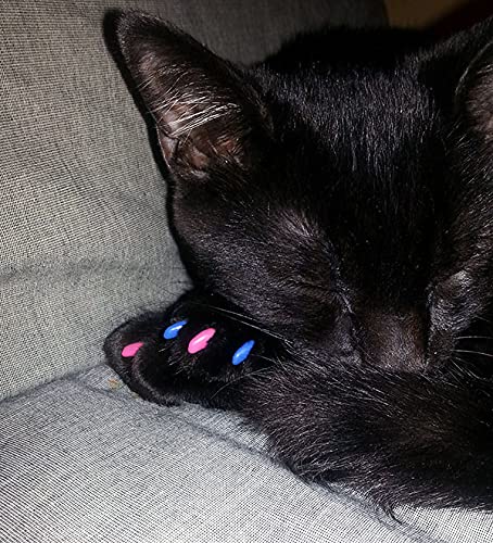 Purrdy Paws 40-Pack Soft Nail Caps for Cat Claws Soft Pink Medium - BeesActive Australia