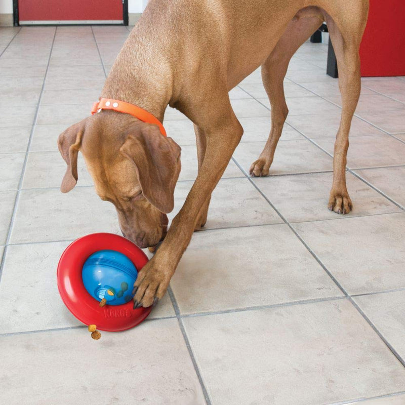 KONG - Gyro - Interactive Treat Dispensing Dog Toy Large - BeesActive Australia