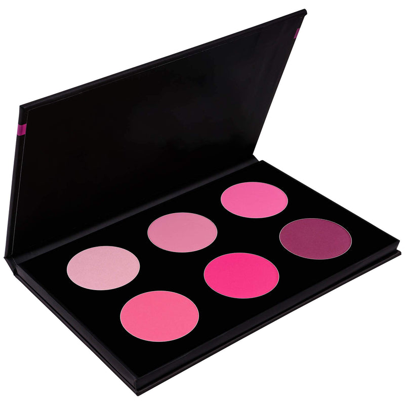 SHANY Shimmer & Matte Cool-Toned Blush Palette - Layer 5 - Refill for the 6 Layer Mini Masterpiece Collection Makeup Set COOL BLUSH - BeesActive Australia