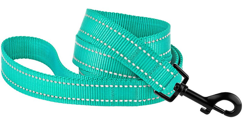 CollarDirect Nylon Dog Leash 5ft for Daily Outdoor Walking Running Training Heavy Duty Reflective Pet Leashes for Large, Medium & Small Dogs Mint Green - BeesActive Australia