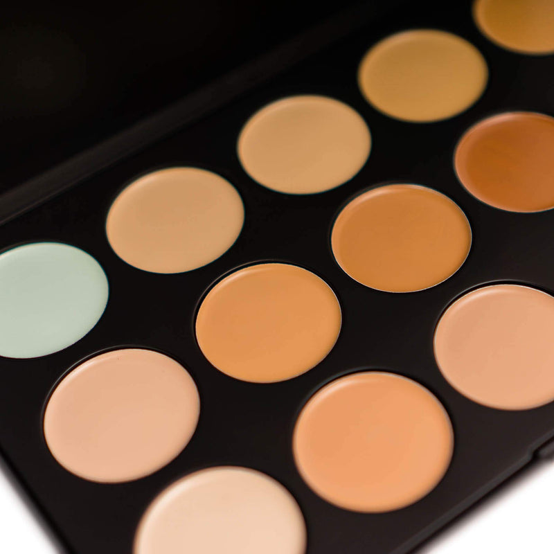 SHANY Professional Cream Foundation and Camouflage Concealer - 15 Color Palette - BeesActive Australia