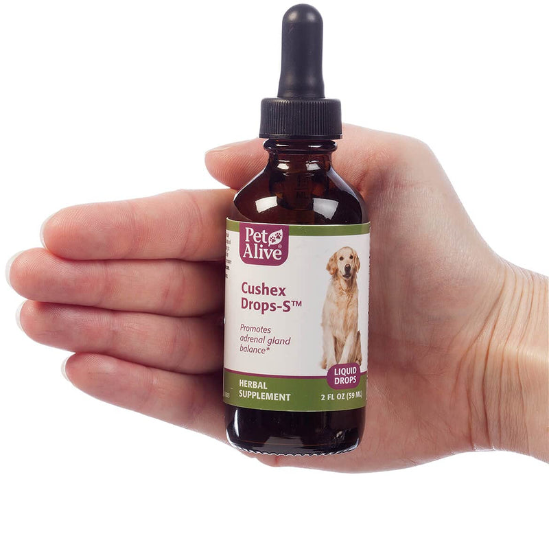 PetAlive Complete Cushex ComboPack for Adrenal Gland Balance, Cushing's Related Support and Symptom Relief Cushex Drops-S - BeesActive Australia