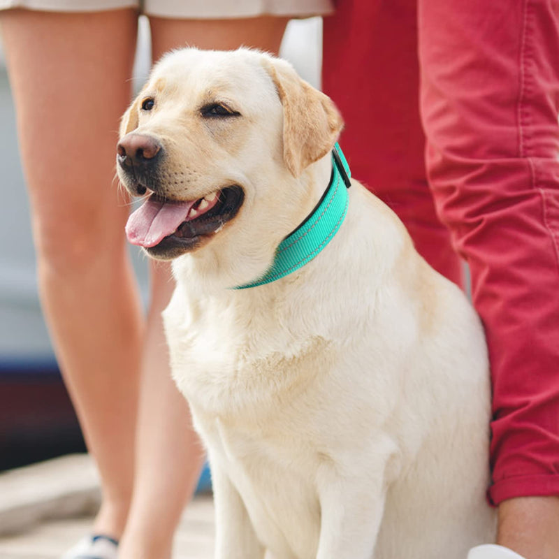 Joytale Reflective Dog Collar,12 Colors,Soft Neoprene Padded Breathable Nylon Pet Collar Adjustable for Small Medium Large Extra Large Dogs,5 Sizes Large (Pack of 1) Teal - BeesActive Australia