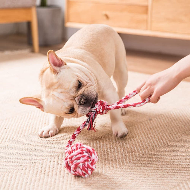 HAICHEN TEC 6 Pack Ferret Rope Chew Toys, Durable Knotted Rope Tug Perfect for Teething Mammals, Cotton Rope Toys Interactive Dog Rope Toy Set Machine-Washable - BeesActive Australia