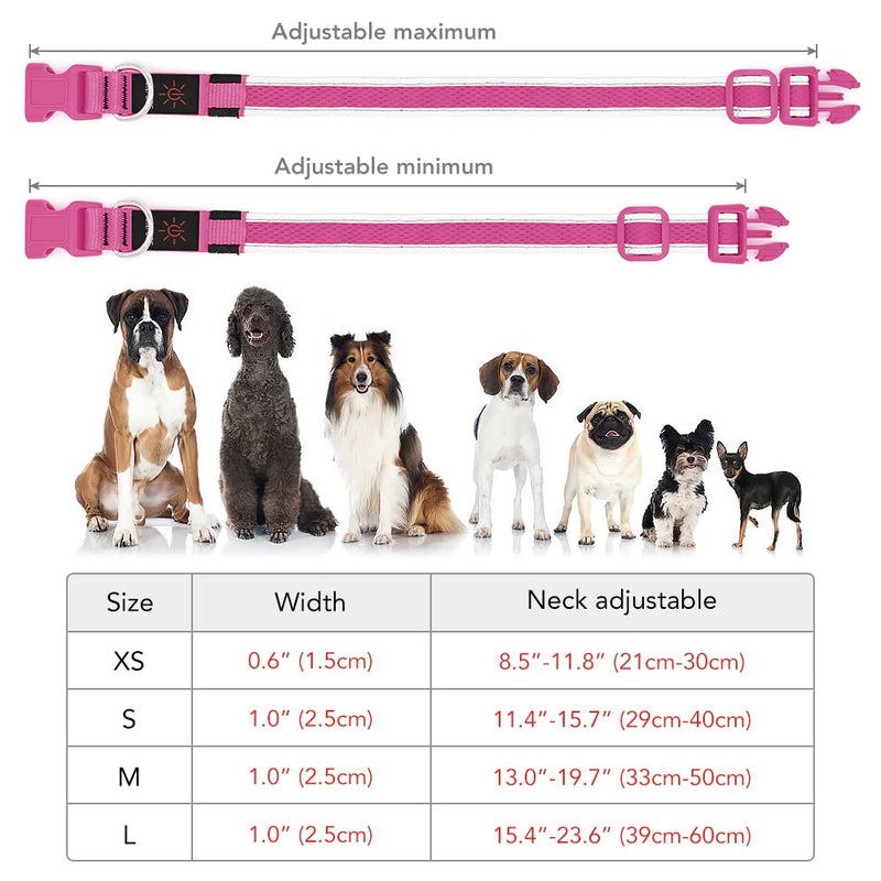 YFbrite Light up Dog Collar, Rechargeable LED Dog Collar, Adjustable Cat Collar Light Safety Glowing at Night for Puppy, Small, Medium, Large Dogs Pink - BeesActive Australia