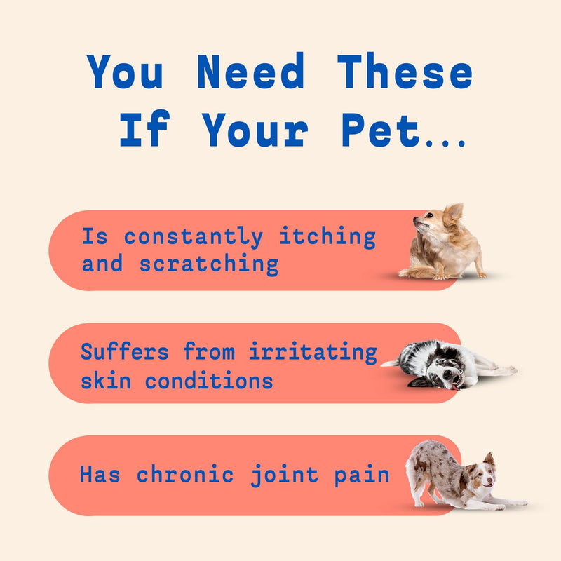Native Pet Itchy Skin Bundle | Allergy Chews for Dogs (60 Servings) + Omega Oil for Dogs (8oz) | Dog Allergy Relief + Itching Relief for Dogs | Dog Probiotics for Itchy Skin & Dog Fish Oil - BeesActive Australia