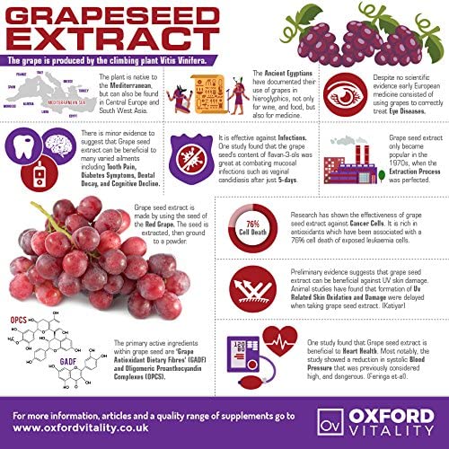 Bilberry, Lutein & Grape Seed Tablets | Vision Care, Eye Health & Antioxidant | Oxford Vitality 2 Count (Pack of 1) - BeesActive Australia