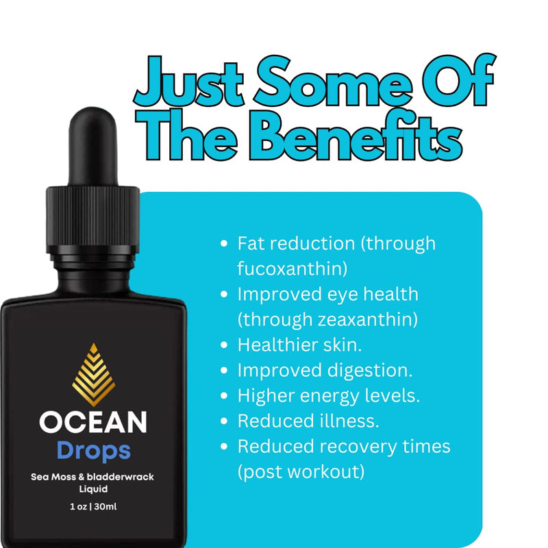 Ocean Drops | Four Times More Powerful Than Gel | 2000mg Sea Moss & 450mg Bladderwrack Per 1ml | 30ml Organic Irish Sea Moss & Bladderwrack | High Potency, Vegan, Non GMO and All Natural - BeesActive Australia