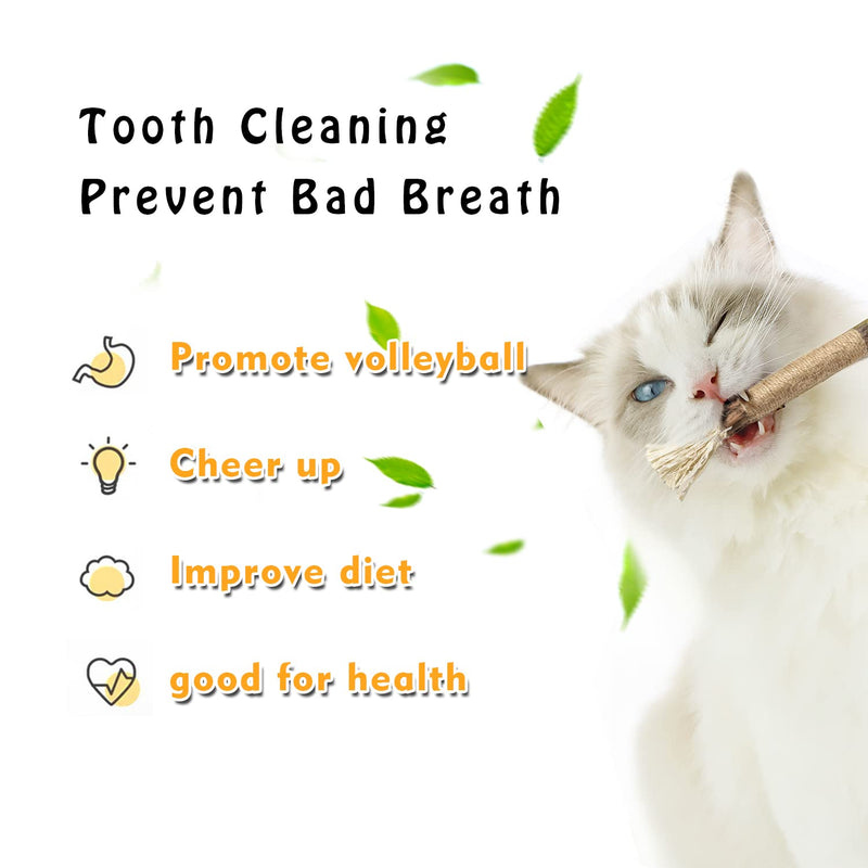 Cat Chew Toy Kitten Teething Toys Catnip Toys Kitty Cleaning Interactive Indoor Bunny Chew Toys Silvervine Sticks for Aggressive Chewers, All Ages, Breeds, 3 Pcs - BeesActive Australia
