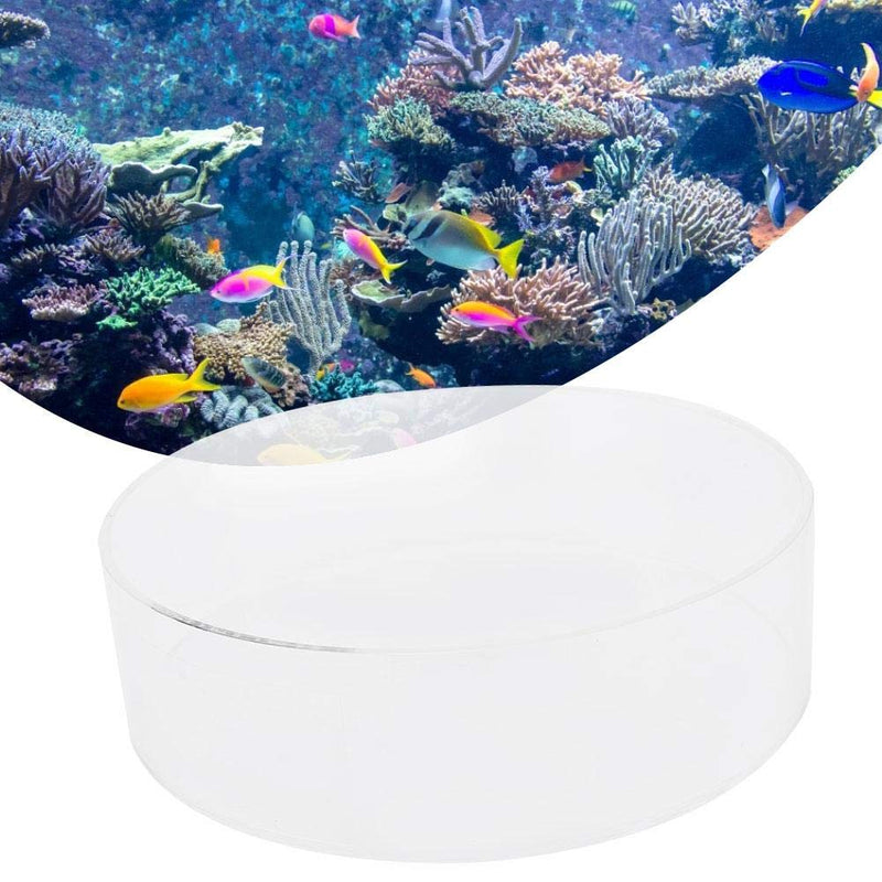 Yencoly Coral Viewer Fish Tank Acrylic,Fish Tank Acrylic Coral Observe Lense Aquarium Fish Photograph Cylinder Magnifier Coral Observe Lense (200mm) 200mm - BeesActive Australia